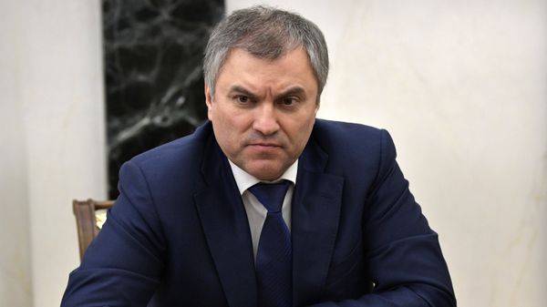 Председатель Госдумы России Вячеслав Володин перед началом совещания Совета безопасности РФ (9 февраля 2017). Москвa - Sputnik Армения