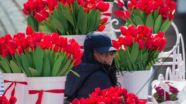 8 марта в Ереване - Sputnik Армения