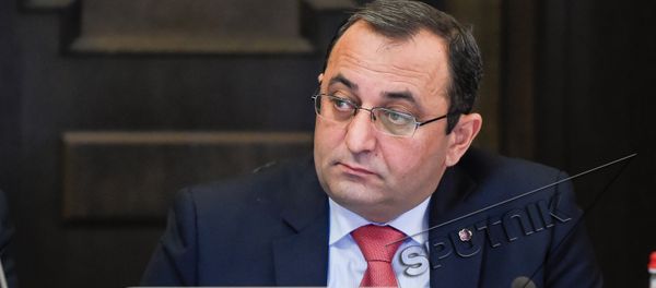 Арцвик Минасян. Заседание Правительства РА 09.03.2017 - Sputnik Արմենիա