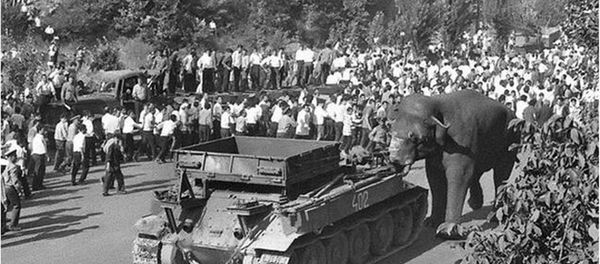 28 июня 1970 года. Слон толкает танк - Sputnik Արմենիա