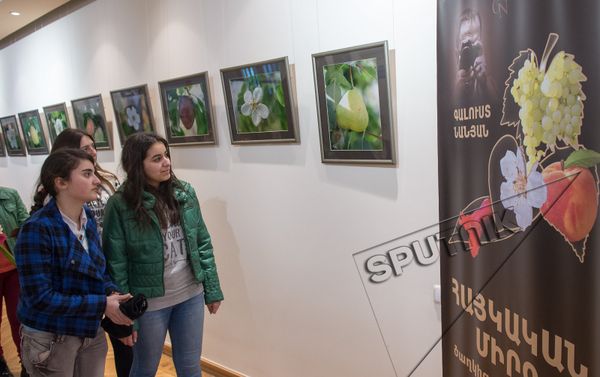 Выставка, приуроченная к Всемирному дню защиты лесов - Sputnik Армения