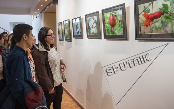 Выставка, приуроченная к Всемирному дню защиты лесов - Sputnik Армения