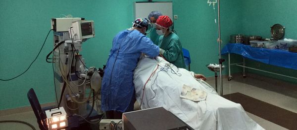 Операция. Давид Смоян и Эрика Гонзалес - Sputnik Արմենիա