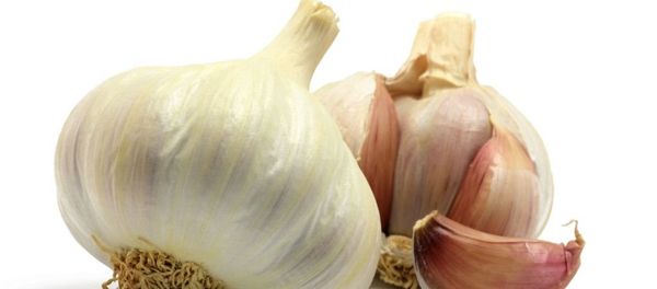 Чеснок - Sputnik Արմենիա