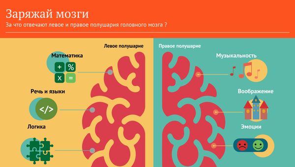 Заряжай мозги - Sputnik Армения