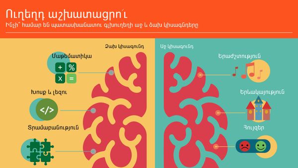 Ուղեղդ աշխատացրու - Sputnik Արմենիա