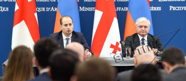 Михеил Джанелидзе и Эдвард Налбандян - Sputnik Армения