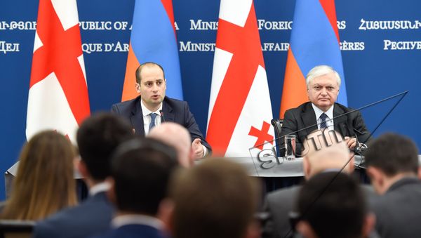 Михеил Джанелидзе и Эдвард Налбандян - Sputnik Армения