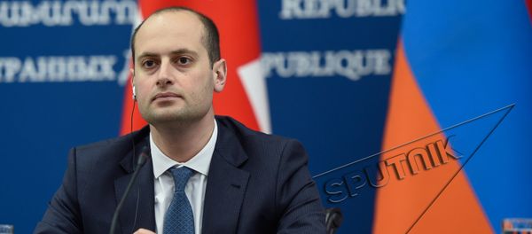 Михеил Джанелидзе - Sputnik Армения
