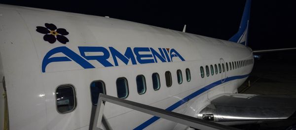 Самолет авиакомпании Armenia c символом незабудки - Sputnik Արմենիա