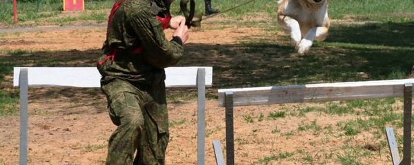 конкурс Верный друг конкурс Верный друг - Sputnik Армения
