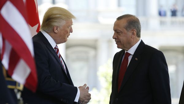 Встреча президентов Турции и США Тайипа Эрдогана и Дональда Трампа в Белом доме - Sputnik Армения