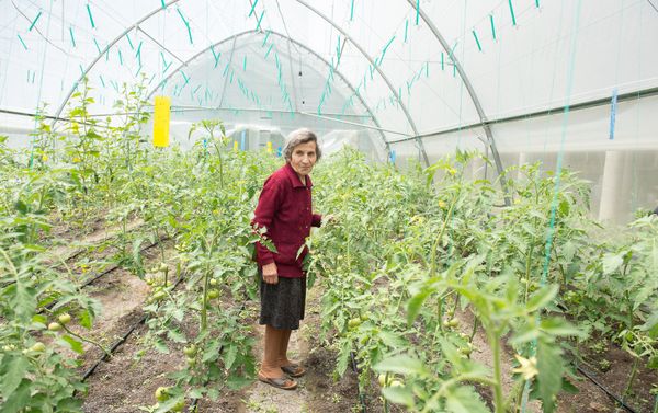 Проект UNDP Развитие местных общин: Учесть мнение каждого при финансовой поддержке Российской Федерации - Sputnik Армения