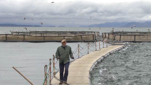 Ишхан, веками обитающий в водах Севана, на грани исчезновения - Sputnik Армения