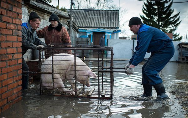 Конкурс имени Андрея Стенина Конкурс имени Андрея Стенина - Sputnik Армения