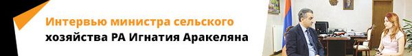 Интервью министра сельского хозяйства РА Игнатия Аракеляна Интервью министра сельского хозяйства РА Игнатия Аракеляна - Sputnik Армения