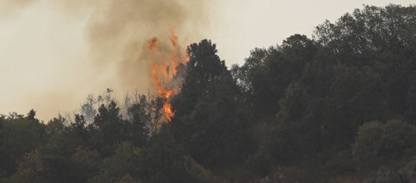 Пожар в Артаване - Sputnik Արմենիա