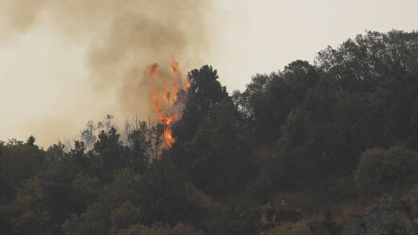 Пожар в Артаване - Sputnik Армения