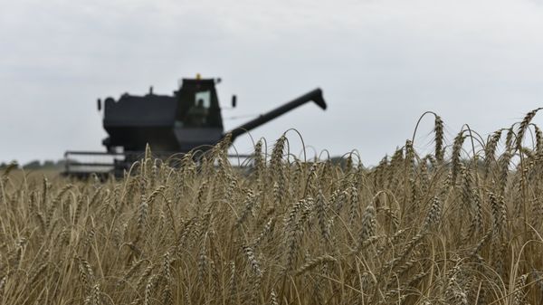 Уборка зерновых - Sputnik Армения