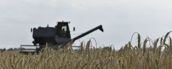 Уборка зерновых - Sputnik Արմենիա