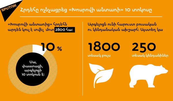 Հրդեհը ոչնչացրեց ՞Խոսրովի անտառի՞ 10 տոկոսը - Sputnik Արմենիա