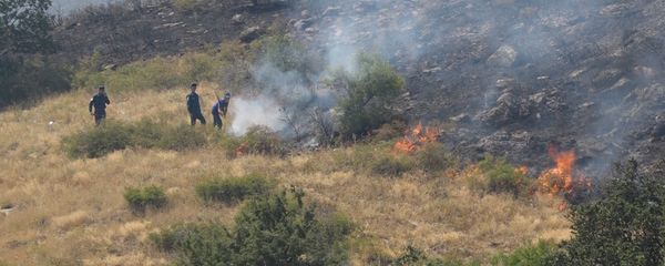 Пожар в Хосровском лесу - Sputnik Արմենիա