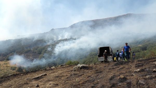 Пожар в Хосровском лесу.Сотрудники МЧС РА Пожар в Хосровском лесу.Сотрудники МЧС РА - Sputnik Армения