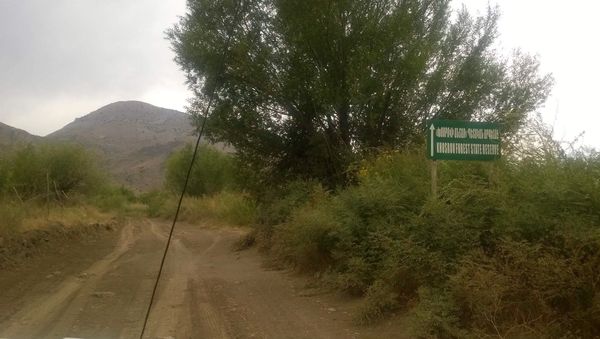 Пожар в Хосровском лесу потушен. Дыма нет - Sputnik Արմենիա
