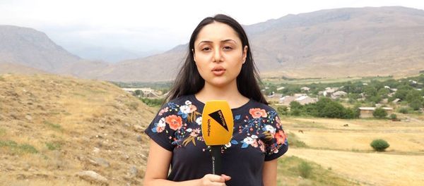 Жители села Урцадзор рассказали Sputnik Армения о пожаре в заповеднике &quot;Хосросвский лес&quot; - Sputnik Армения