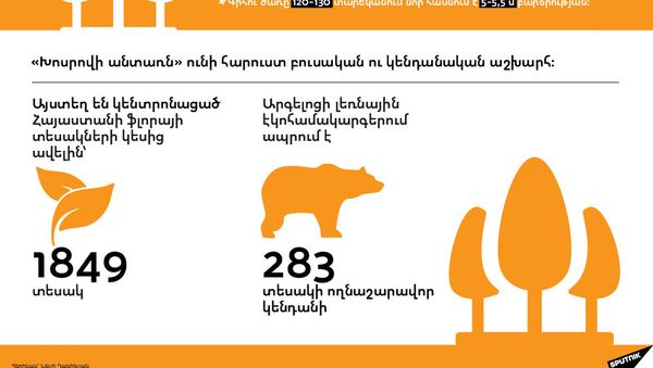 Հրդեհը ոչնչացրեց Խոսրովի անտառի 10 տոկոսը - Sputnik Արմենիա