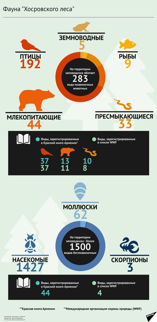 Фауна Хосровского леса - Sputnik Армения