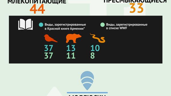 Фауна Хосровского леса - Sputnik Армения