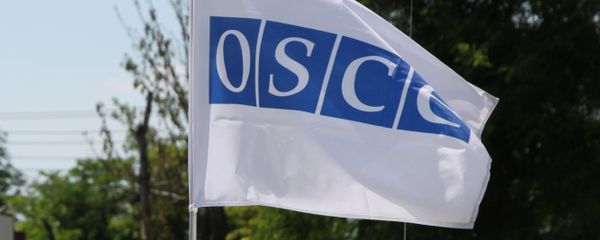 Флаг ОБСЕ на машине Флаг ОБСЕ на машине - Sputnik Армения