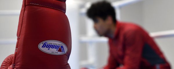 Бокс, боксерские перчатки - Sputnik Армения