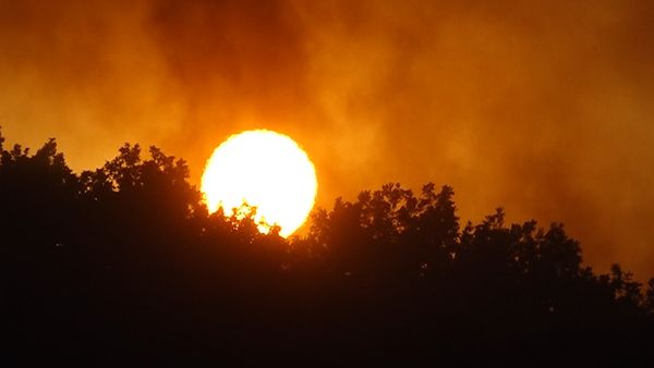 Пожар в Бюракане - Sputnik Армения