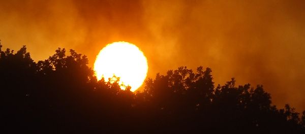 Пожар в Бюракане Пожар в Бюракане - Sputnik Армения