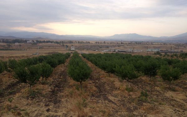 Ասմարյանների հիմնած այգին - Sputnik Արմենիա