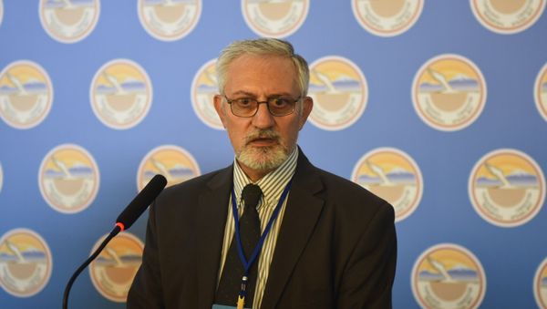 Жирайр Реисян на форуме Армения-Диаспора - Sputnik Армения