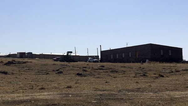 Свиноводческая ферма на особо охраняемой территории - Sputnik Արմենիա