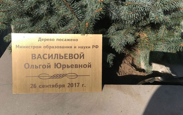 Дерево, посаженное Министром образования и науки РФ Ольгой Васильевой Дерево, посаженное Министром образования и науки РФ Ольгой Васильевой - Sputnik Армения