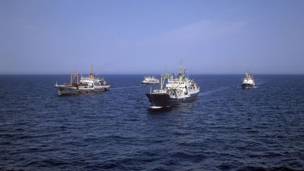 Рыболовные суда на промысле в Каспийском море. - Sputnik Армения