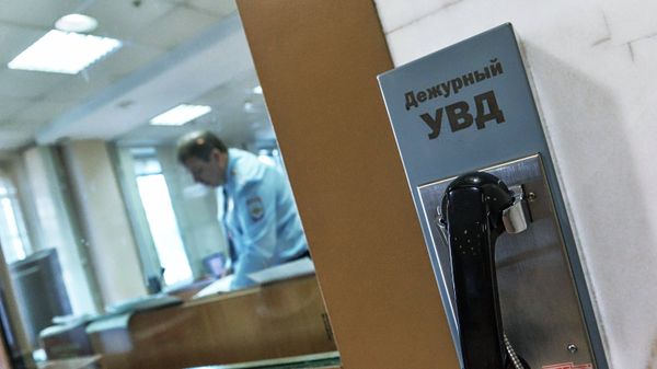 Полиция. Дежурная часть - Sputnik Армения