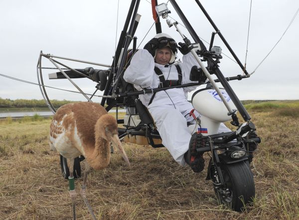 Президент РФ Владимир Путин принимает участие в экологическом проекте Полет надежды - Sputnik Армения