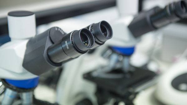 Референс-лаборатория в Ереване - Sputnik Армения