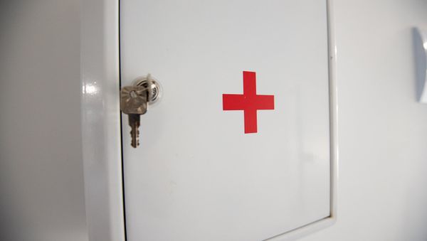 Референс-лаборатория в Ереване - Sputnik Արմենիա