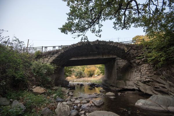 В заповеднике водятся медведи, каменная куница, персидская белка, улар, кавказский тетерев, белоголовый сип и т. д. - Sputnik Армения