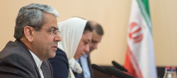 Глава иранской налоговой службы, замминистра финансов и экономики Тахааи Нежат Глава иранской налоговой службы, замминистра финансов и экономики Тахааи Нежат - Sputnik Армения