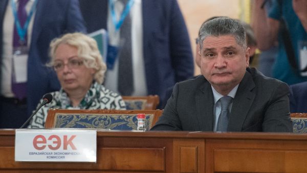 Заседание межправительственного Евразийского совета. Татьяна Валовая и Тигран Саркисян Заседание межправительственного Евразийского совета. Татьяна Валовая и Тигран Саркисян - Sputnik Армения