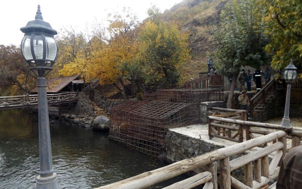 Արջի ազատումը ռեստորանային պայմաններից - Sputnik Արմենիա