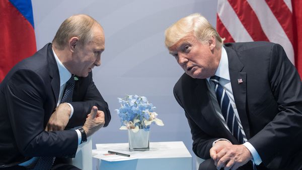 Президент РФ В. Путин принимает участие в саммите Группы двадцати в Гамбурге Президент РФ В. Путин принимает участие в саммите Группы двадцати в Гамбурге - Sputnik Армения